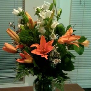 Meet your Posher, Jacqueline